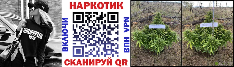 Продажа наркотиков Белоярский omg вход  Мефедрон  КОКАИН  Галлюциногенные грибы 