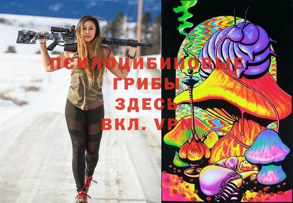 Альфа ПВП Алзамай