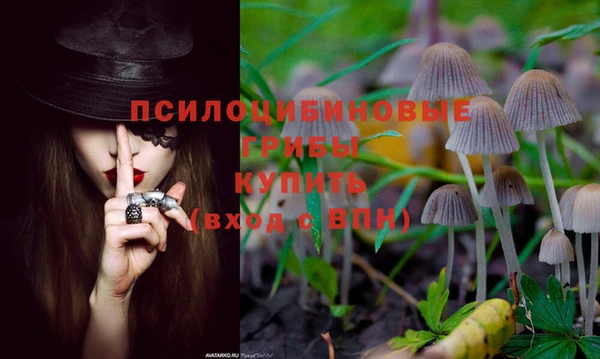 соль курить ск Алексин