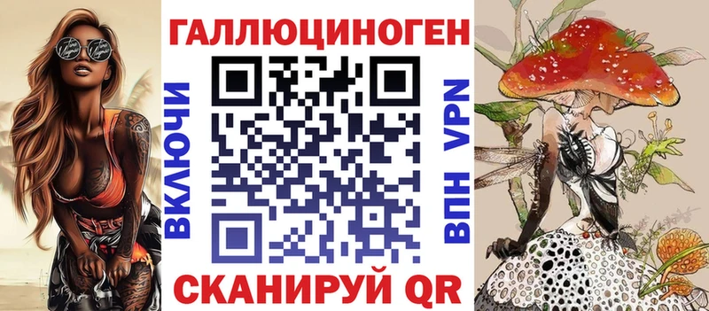 как найти   Белоярский  Галлюциногенные грибы Psilocybe 